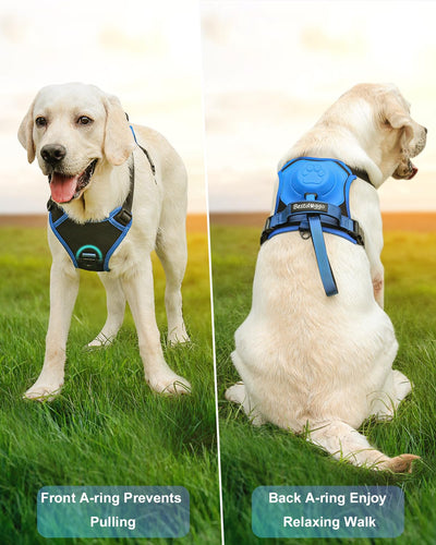 Dog Harness with Handle and Adjustable Fit for Medium to Large Dogs - No Pull Design 4