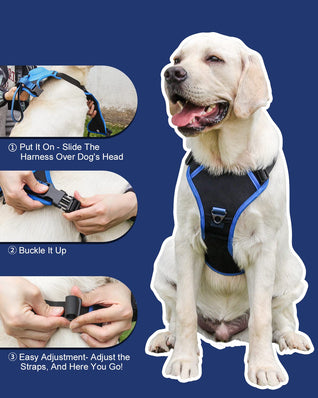 Dog Harness with Handle and Adjustable Fit for Medium to Large Dogs - No Pull Design