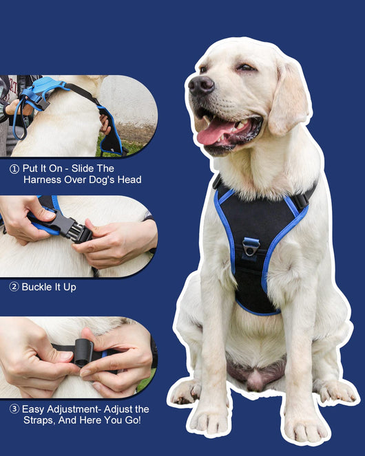 Dog Harness with Handle and Adjustable Fit for Medium to Large Dogs - No Pull Design 7