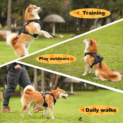Dog Harness with Handle and Adjustable Fit for Medium to Large Dogs - No Pull Design 8