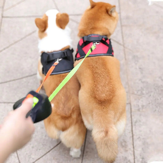 Dog Lead with Anti-Wrap Design & LED Light | for Walking Two Dogs Safely 2