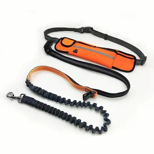 Dog Leash with Adjustable Waist Belt | for Hands-Free Jogging and Walking with Dogs 7