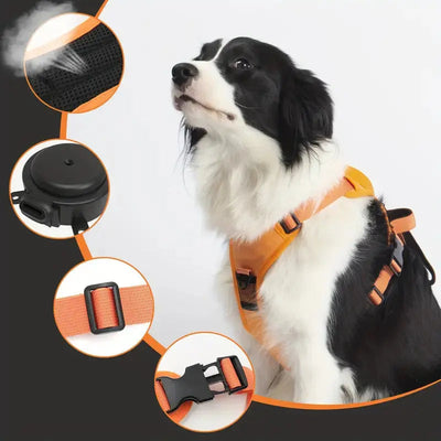 Dog Leash with Anti-Pull Harness | Adjustable and Comfortable for All Dog Sizes 2