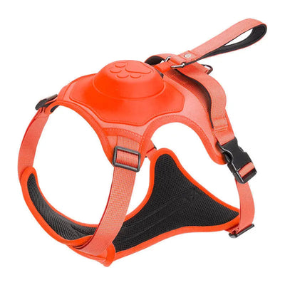 Dog Leash with Anti-Pull Harness | Adjustable and Comfortable for All Dog Sizes 6