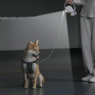 Dog Leash with LED Light and Extendable Mechanism for Safe Walking for All Dog Sizes-Dog Leashes-Levereau-Black-Levereau