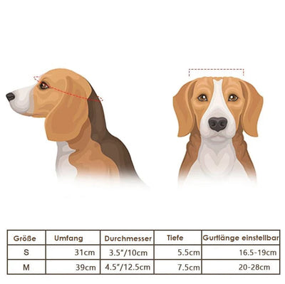 Dog Motorcycle Helmet and Goggles Set with Adjustable Fit for Small, Medium, and Large Dogs-Pet Helmets & Goggles-Levereau-Small-Levereau