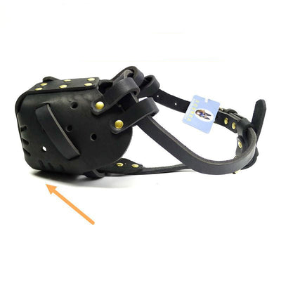 Dog Muzzle | Comfortable Basket Muzzle for Medium and Large Dogs with Soft Design and Easy Fit-Dog Muzzles-Levereau-M-Levereau
