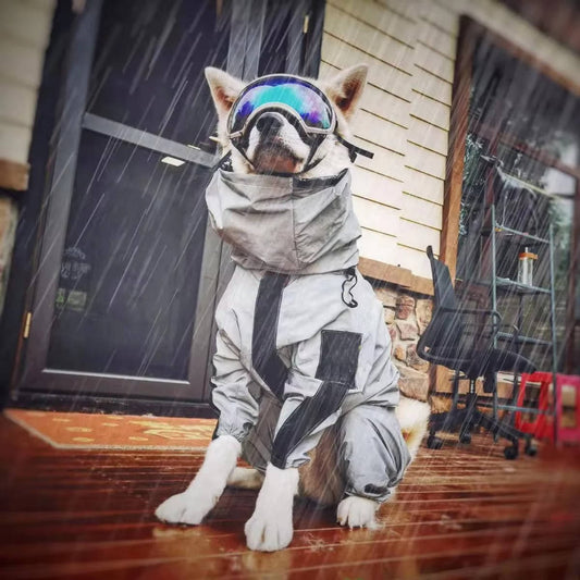 Dog Raincoat with Adjustable Hood and Reflective Stripes for All Breeds 1