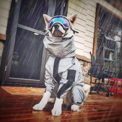 Dog Raincoat with Adjustable Hood and Reflective Stripes for All Breeds 1