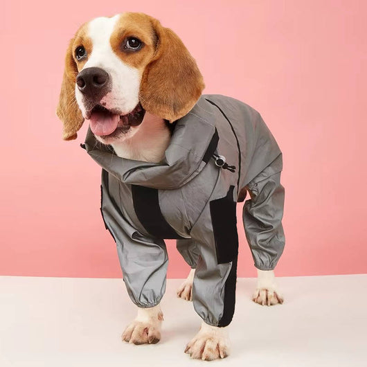 Dog Raincoat with Adjustable Hood and Reflective Stripes for All Breeds 5