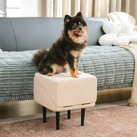 Dog Ramp for Bed and Step Stool with Non-Slip Surface for All Dog Sizes 6