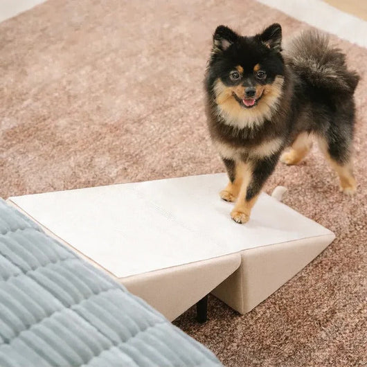 Dog Ramp for Bed and Step Stool with Non-Slip Surface for All Dog Sizes 7