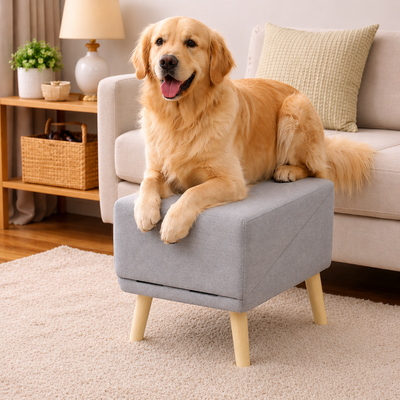 Dog Ramp for Stairs with Non-Slip Surface and Foldable Design for Senior Dogs and Small Breeds 2