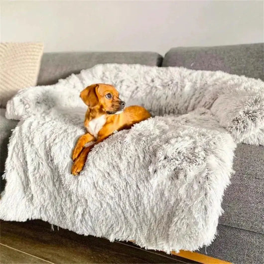 Dog Sofa Bed with Soft Fabric | for All Dog Sizes, Easy to Clean & Non-Slip Design 5