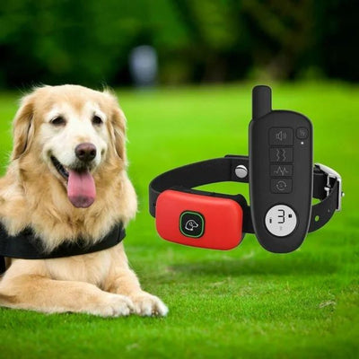 Dog Training Collar with Beep, Vibration, and Shock Modes for All Sizes 1