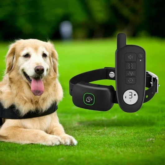 Dog Training Collar with Beep, Vibration, and Shock Modes for All Sizes 6
