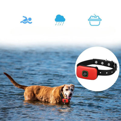 Dog Training Collar with Beep, Vibration, and Shock Modes for All Sizes 8
