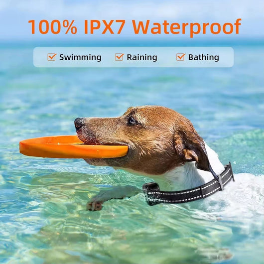 Dog Training Collar with Remote Control and Waterproof Design for Dogs 4–120 lbs-Training Collars-Levereau-PD 521 with TPU Collar-Levereau