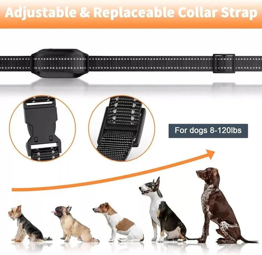 Dog Training Collar with Waterproof Receiver | for Dogs 8-120 lbs-Training Collars-Levereau-Default-Levereau