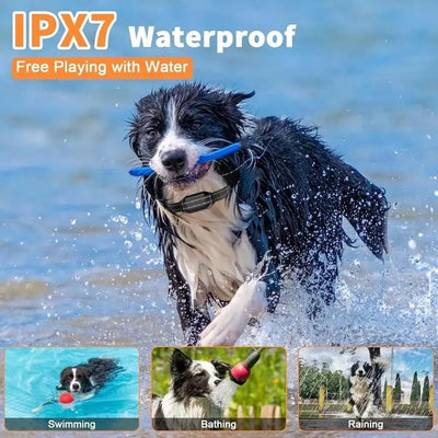 Dog Training Collar with Waterproof Receiver | for Dogs 8-120 lbs-Training Collars-Levereau-Default-Levereau