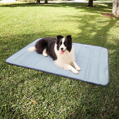 Dog Travel Bag with Convertible Design and Smart Storage for Small to Medium Dogs 2