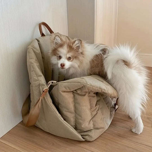 Dog Travel Bag with Waterproof Exterior and Padded Interior for Small to Medium Dogs 2