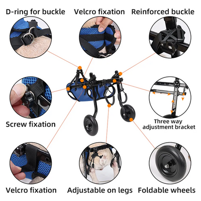 Dog Wheelchair for Back Legs Support and Rehabilitation Aid for Dogs and Cats — Adjustable, Lightweight Design-Mobility Aids-Levereau-XS-Levereau