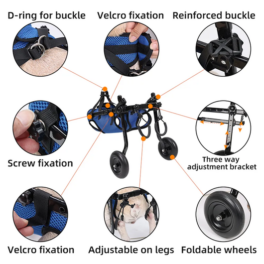 Dog Wheelchair for Back Legs Support and Rehabilitation Aid for Dogs and Cats — Adjustable, Lightweight Design-Mobility Aids-Levereau-XS-Levereau