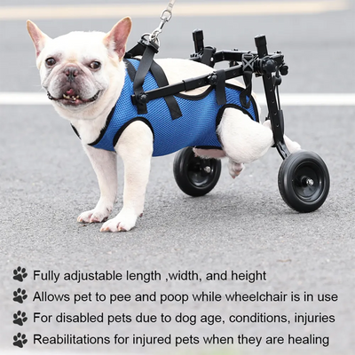 Dog Wheelchair for Back Legs Support and Rehabilitation Aid for Dogs and Cats — Adjustable, Lightweight Design-Mobility Aids-Levereau-XS-Levereau