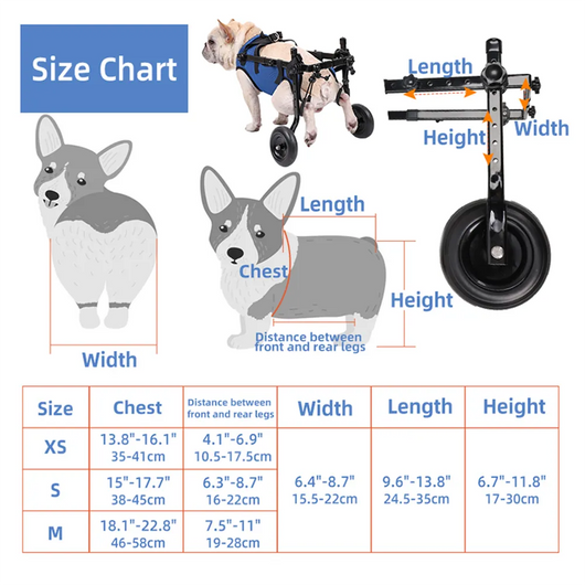 Dog Wheelchair for Back Legs Support and Rehabilitation Aid for Dogs and Cats — Adjustable, Lightweight Design-Mobility Aids-Levereau-XS-Levereau