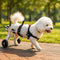 Dog Wheelchair for Back Legs with Ultralight Aluminum Frame and Adjustable Fit for Large Dogs