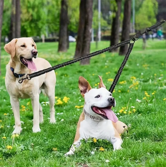 Dual Dog Leash with 360° Swivel Connector and Bungee Design for Active Dogs 3