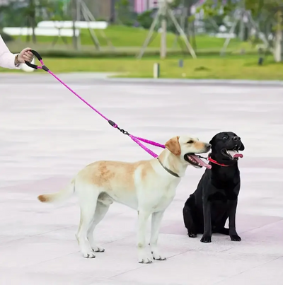 Dual Dog Leash with 360° Swivel Connector and Bungee Design for Active Dogs 4