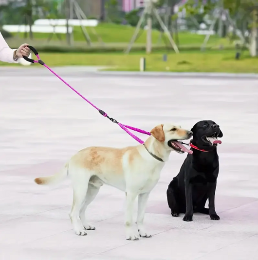 Dual Dog Leash with 360° Swivel Connector and Bungee Design for Active Dogs 4