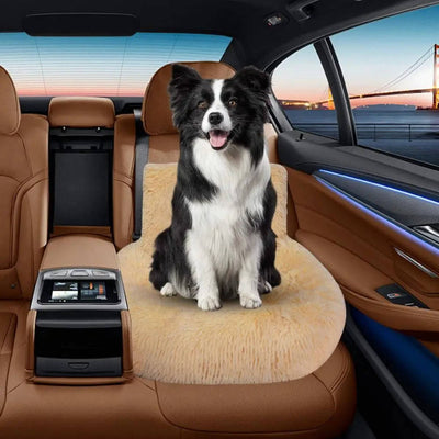 EcoPaw | Protecting Dog Bed for Car with High Backrest for Medium to Large Dogs 2
