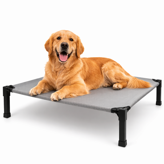Elevated Dog Bed with Breathable Mesh and Chew-Proof Design for Medium & Large Dogs 1