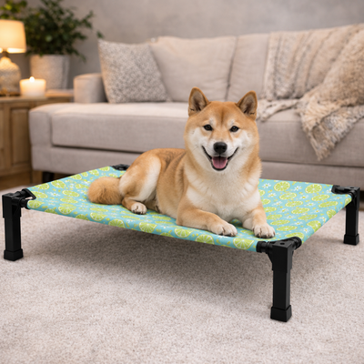 Elevated Dog Bed with Breathable Mesh and Chew-Proof Design for Medium & Large Dogs 11