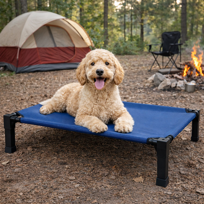 Elevated Dog Bed with Breathable Mesh and Chew-Proof Design for Medium & Large Dogs 2