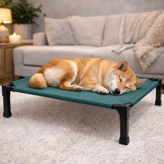 Elevated Dog Bed with Breathable Mesh and Chew-Proof Design for Medium & Large Dogs 3