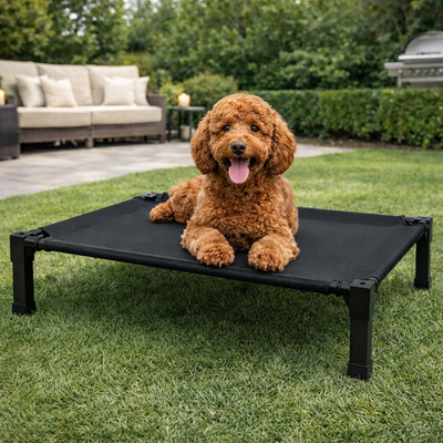 Elevated Dog Bed with Breathable Mesh and Chew-Proof Design for Medium & Large Dogs 5