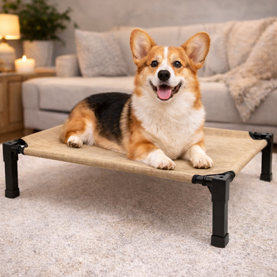 Elevated Dog Bed with Breathable Mesh and Chew-Proof Design for Medium & Large Dogs 6