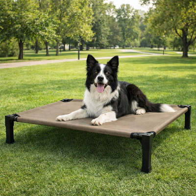 Elevated Dog Bed with Breathable Mesh and Chew-Proof Design for Medium & Large Dogs 7