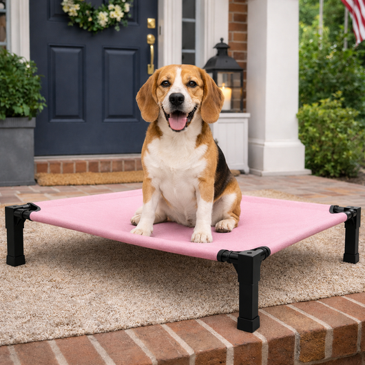 Elevated Dog Bed with Breathable Mesh and Chew-Proof Design for Medium & Large Dogs 8