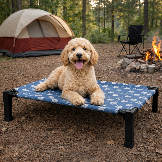 Elevated Dog Bed with Breathable Mesh and Chew-Proof Design for Medium & Large Dogs 9