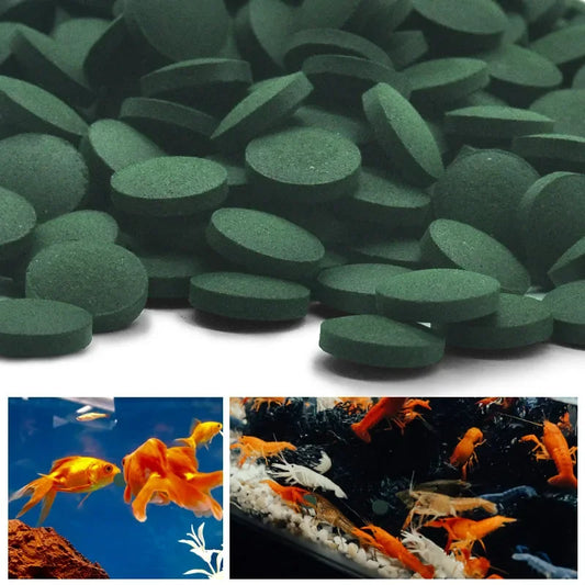 Fish Food Spirulina Tablets for Betta Fish and Shrimp - Nutrient-Rich Formula, 100 Count 0