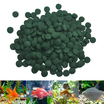Fish Food Spirulina Tablets for Betta Fish and Shrimp - Nutrient-Rich Formula, 100 Count 2