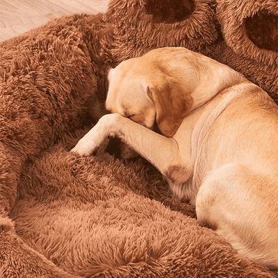FluffyPaw | Calming Dog Bed with Deep Raised Edges for Small to Large Dogs 2