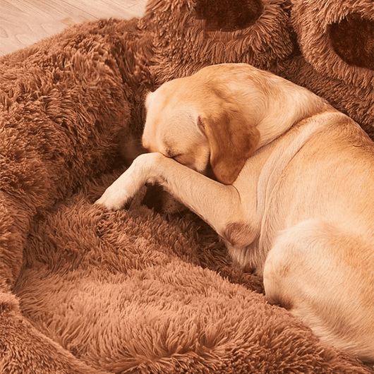 FluffyPaw | Calming Dog Bed with Deep Raised Edges for Small to Large Dogs 2