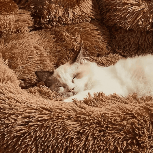 FluffyPaw | Calming Dog Bed with Deep Raised Edges for Small to Large Dogs 4