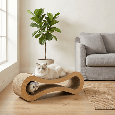 FurNest | Cat Lounge and Scratcher with Eco-Friendly Design for Indoor Cats 0